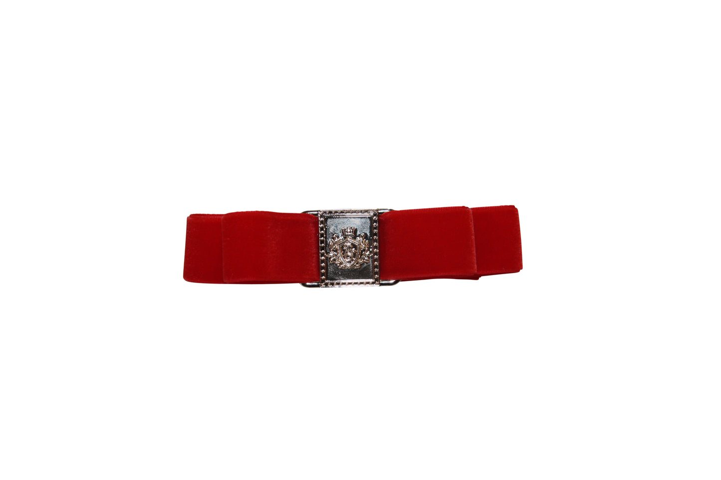 Panache Style Buckle Clip