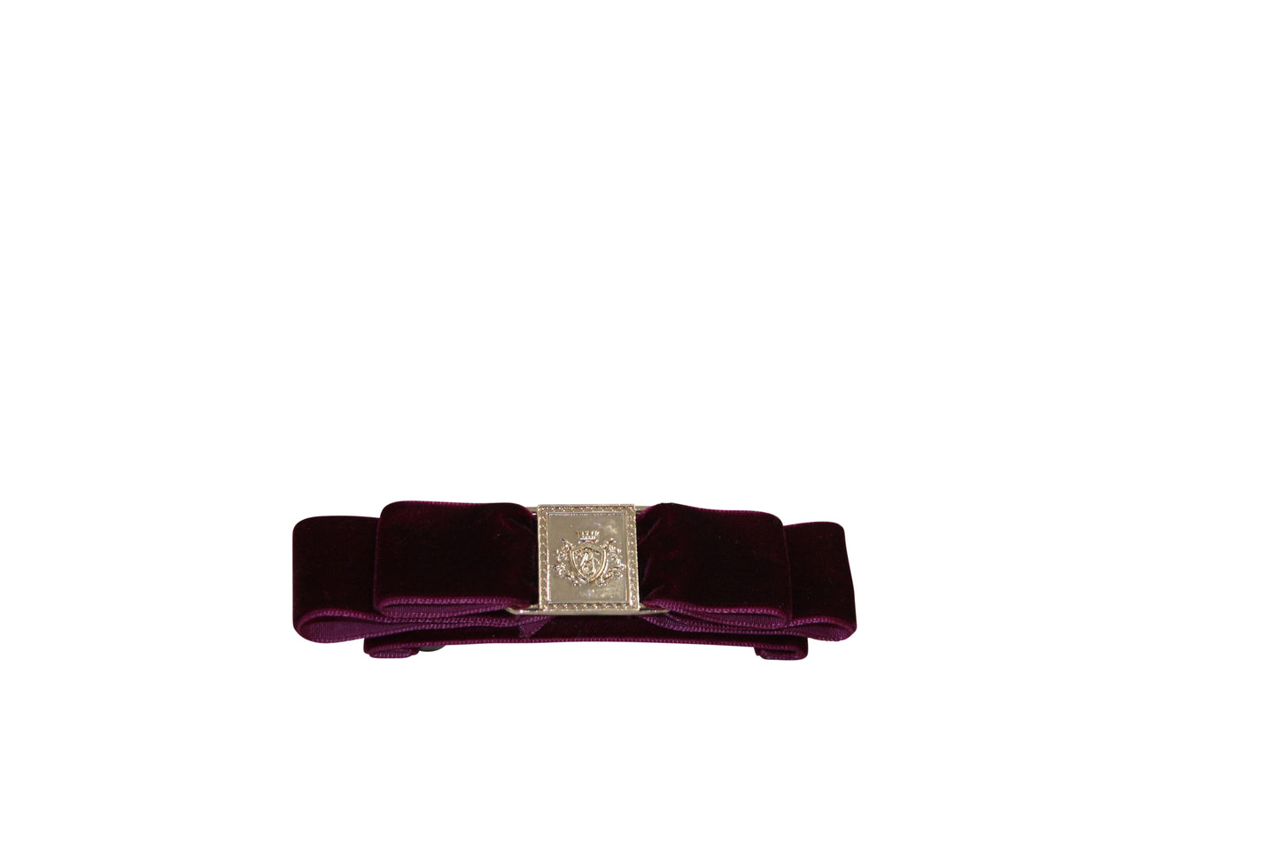 Panache Style Buckle Clip