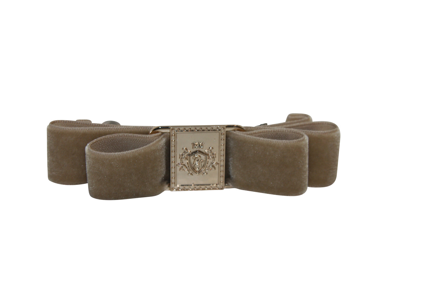 Panache Style Buckle Clip