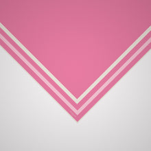 Load image into Gallery viewer, Classic Border Scarf - Pink + White
